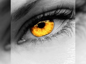 Analyse sensorielle: Création d'une méthode efficace