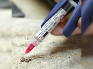 Brasage dans l’industrie microtechnique-horlogère