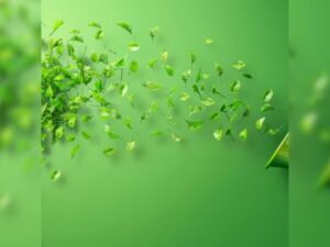 Marketing durable : allier performance et responsabilité sociétale
