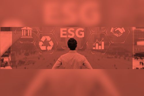 RSE, ESG et développement durable pour les entreprises